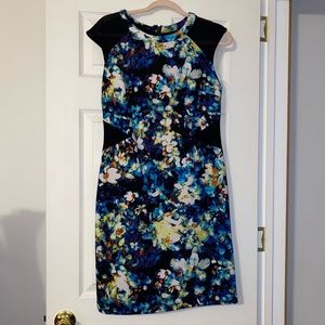 Worthington Fitted Professional Dress